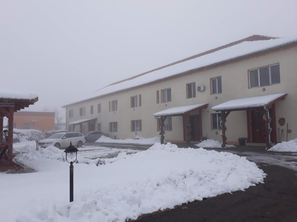 Vila Zoppas Inn Sinnicolau Mare Luaran gambar