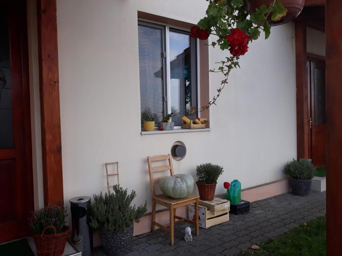 Vila Zoppas Inn Sinnicolau Mare Luaran gambar